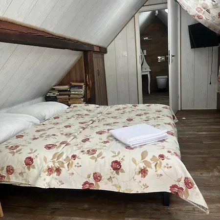 Appartement Dziupla