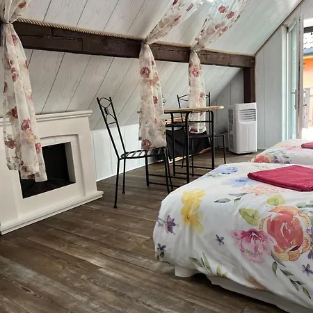 Apartmán Dziupla *